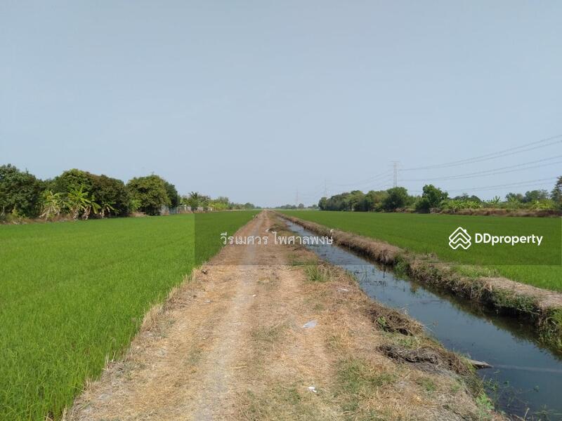 ขายที่ดินติดถนนลำลูกกา กว้าง 4 เลน เหมาะสร้างโครงการ บ้านจัดสรร คลังขนส่งสินค้า