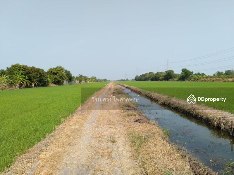 ขายที่ดินติดถนนลำลูกกา กว้าง 4 เลน เหมาะสร้างโครงการ บ้านจัดสรร คลังขนส่งสินค้า