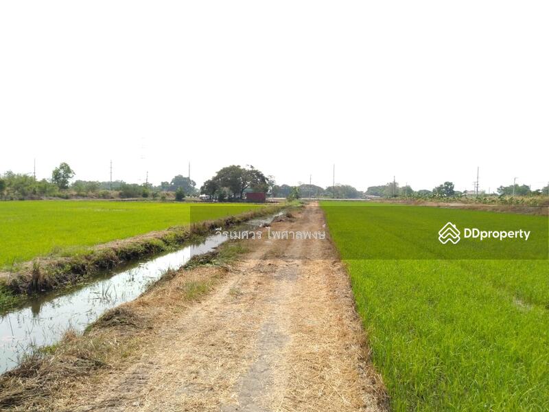 ขายที่ดินติดถนนลำลูกกา กว้าง 4 เลน เหมาะสร้างโครงการ บ้านจัดสรร คลังขนส่งสินค้า