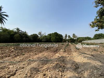 ขาย - ต.บ้านป่า อ.เมือง จ.พิษณุโลก, พิษณุโลก