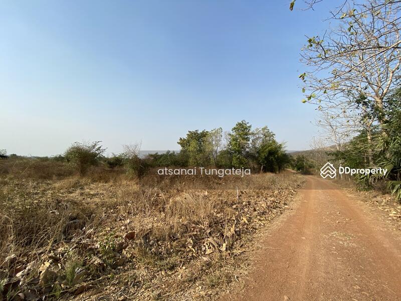 ขาย - ขายที่ดิน 44 ไร่ 1 งาน 71 ตร.ว. ต.บ้านยาง อ.วัดโบสถ์ จ.พิษณุโลก, พิษณุโลก