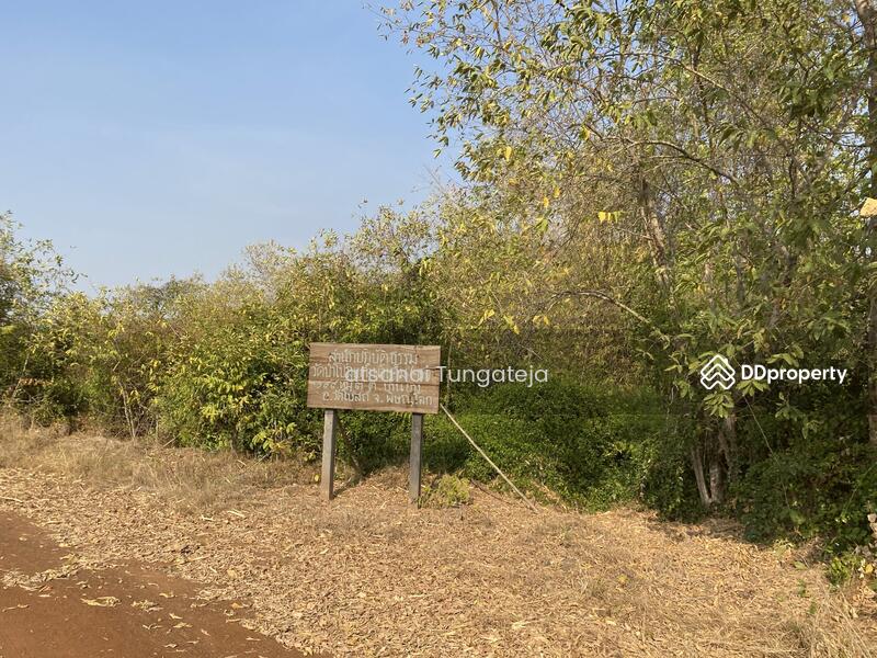 ขาย - ขายที่ดิน 44 ไร่ 1 งาน 71 ตร.ว. ต.บ้านยาง อ.วัดโบสถ์ จ.พิษณุโลก, พิษณุโลก