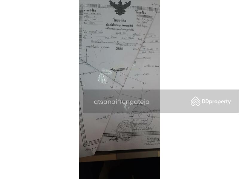 ขาย - ขายที่ดิน 44 ไร่ 1 งาน 71 ตร.ว. ต.บ้านยาง อ.วัดโบสถ์ จ.พิษณุโลก, พิษณุโลก