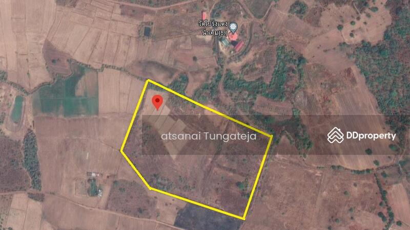 ขาย - ขายที่ดิน 44 ไร่ 1 งาน 71 ตร.ว. ต.บ้านยาง อ.วัดโบสถ์ จ.พิษณุโลก, พิษณุโลก