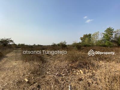 ขาย - ขายที่ดิน 44 ไร่ 1 งาน 71 ตร.ว. ต.บ้านยาง อ.วัดโบสถ์ จ.พิษณุโลก, พิษณุโลก