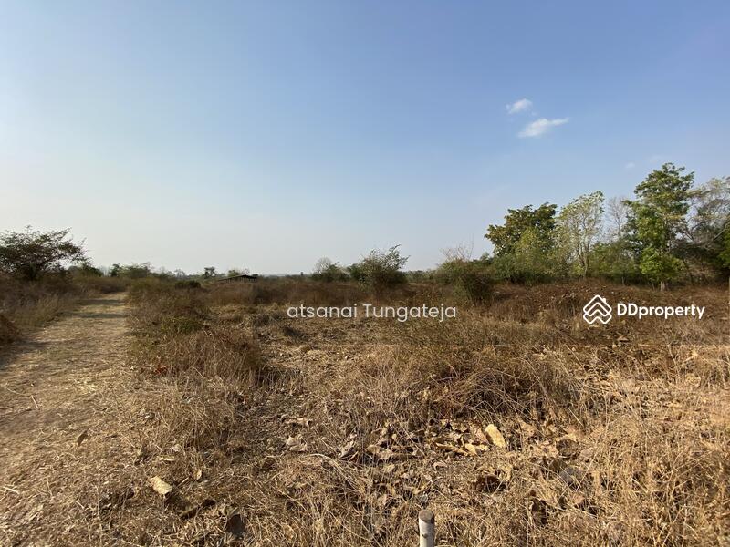 ขาย - ขายที่ดิน 44 ไร่ 1 งาน 71 ตร.ว. ต.บ้านยาง อ.วัดโบสถ์ จ.พิษณุโลก, พิษณุโลก