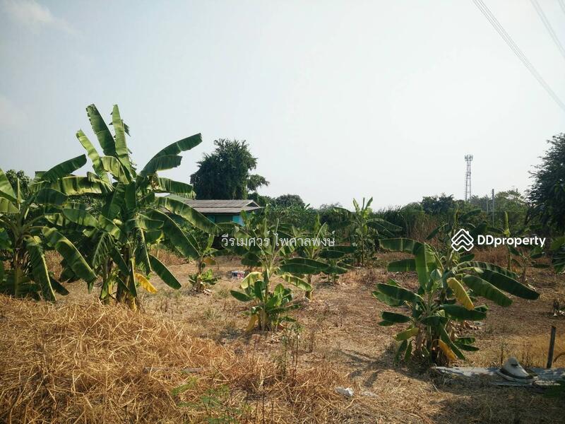 ขายที่ดินบางนา-ตราด เหมาะสร้างคอนโด High Rise