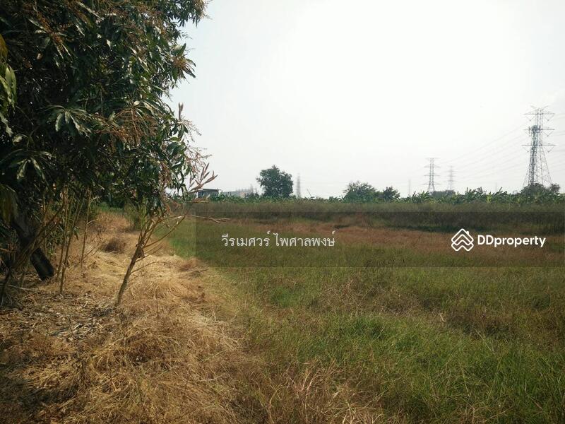 ขายที่ดินบางนา-ตราด เหมาะสร้างคอนโด High Rise