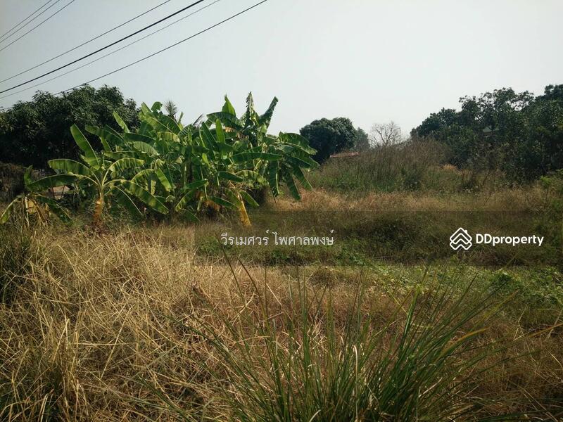 ขายที่ดินบางนา-ตราด เหมาะสร้างคอนโด High Rise