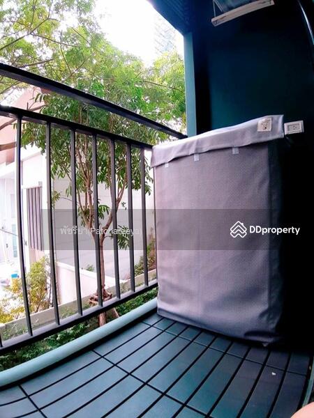 iCondo Green Space Sukhumvit 77 Phase 2 : ไอคอนโด กรีนสเปซ สุขุมวิท 77 (เฟส 2), กรุงเทพ, ถนน ลาดกระบัง, ลาดกระบัง, กรุงเทพ, 25 ตร.ม., คอนโด ให้เช่า, โดย Living Condo, 8546926 - DDproperty.com