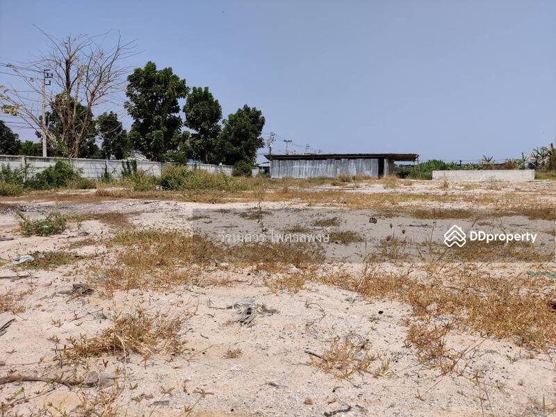 ขาย ที่ดินลาดกระบัง ซอย 54 ติดถนนกว้าง 4 เลน แหล่งสร้างโกดัง โรงงาน คลีงสินค้า