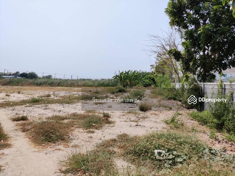 ขาย ที่ดินลาดกระบัง ซอย 54 ติดถนนกว้าง 4 เลน แหล่งสร้างโกดัง โรงงาน คลีงสินค้า