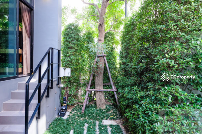 Arden Ladprao 71, Bangkok, 6 ลาดพร้าว 71, Lat Phrao, Lat Phrao, Bangkok, 3 Bedrooms, 185 sqm, Townhouse For Sale, by Line: @katagent, 8551053 - DDproperty.com