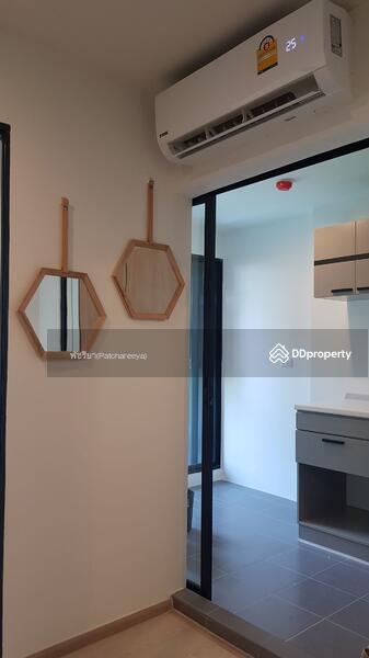 The Excel Groove Lasalle 52, Bangkok, Soi Sukhumvit 105 Lasalle Road, Bang Na, Bang Na, Bangkok, 1 Bedroom, 27 sqm, Condo For Rent, by Living Condo, 8552201 - DDproperty.com