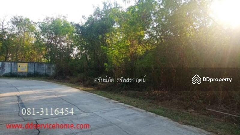 ขาย - ที่ดิน 3 ไร่ 17 ตรว. ซอยบรมไตรโลกนารถ 39 (ซอยบัวสีเงิน) 7,302,00 บาท (ตรว.ละ 6,000 บาท, พิษณุโลก