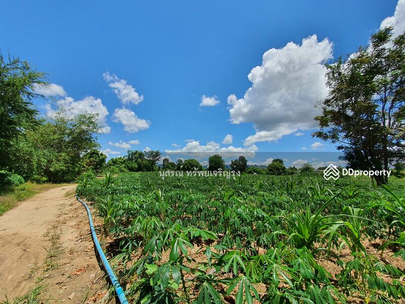 ขาย - ที่ดินติดแม่น้ำแคว, กาญจนบุรี