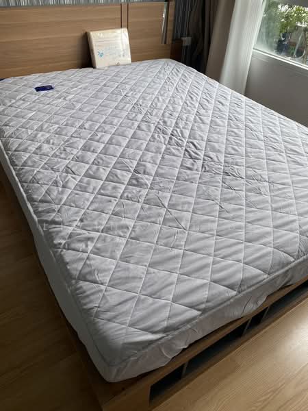 Lumpini Ville La Salle-Bearing : ลุมพินี วิลล์ ลาซาล-แบริ่ง, กรุงเทพ, ถนนสุขุมวิท 105, บางนา, บางนา, กรุงเทพ, 26 ตร.ม., คอนโด ให้เช่า, โดย Living Condo, 8605226 - DDproperty.com