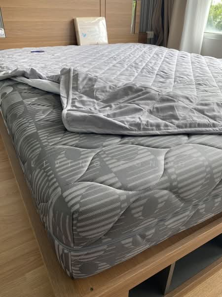 Lumpini Ville La Salle-Bearing : ลุมพินี วิลล์ ลาซาล-แบริ่ง, กรุงเทพ, ถนนสุขุมวิท 105, บางนา, บางนา, กรุงเทพ, 26 ตร.ม., คอนโด ให้เช่า, โดย Living Condo, 8605226 - DDproperty.com