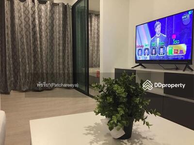 ขาย - The Excel Groove Lasalle 52 : ดิ เอ็กซ์เซล กรูฟ ลาซาล 52, กรุงเทพ