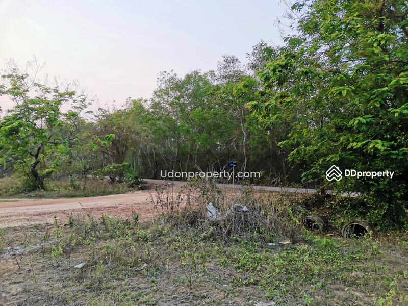 Vacant Land, Udon Thani, Chiang Phin, Muang Udon Thani, Udon Thani, , 1,676 sqm, Land For Sale, by Kulaya Thanapura, 8619780 - DDproperty.com