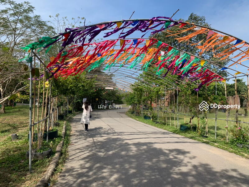 ขาย - ที่ดิน หัวหินซู พร้อมกิจการ ทำเลดีอนาคตไกล, ประจวบคีรีขันธ์