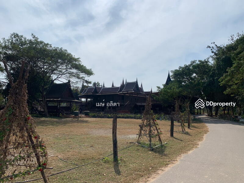 ขาย - ที่ดิน หัวหินซู พร้อมกิจการ ทำเลดีอนาคตไกล, ประจวบคีรีขันธ์