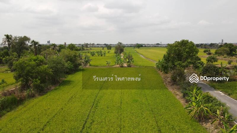 ขายที่ดิน บางบัวทอง ตำแหน่งใกล้ Central Westgate (ใกล้ดูโฮมบางบัวทอง เพียง 1 Km.) 16 ไร่