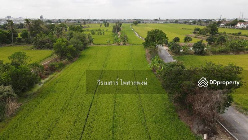 ขายที่ดิน บางบัวทอง ตำแหน่งใกล้ Central Westgate (ใกล้ดูโฮมบางบัวทอง เพียง 1 Km.) 16 ไร่