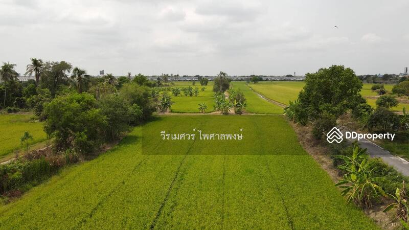 ขายที่ดิน บางบัวทอง ตำแหน่งใกล้ Central Westgate (ใกล้ดูโฮมบางบัวทอง เพียง 1 Km.) 16 ไร่