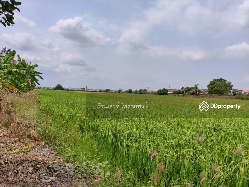 ขายที่ดิน บางบัวทอง ตำแหน่งใกล้ Central Westgate (ใกล้ดูโฮมบางบัวทอง เพียง 1 Km.) 16 ไร่