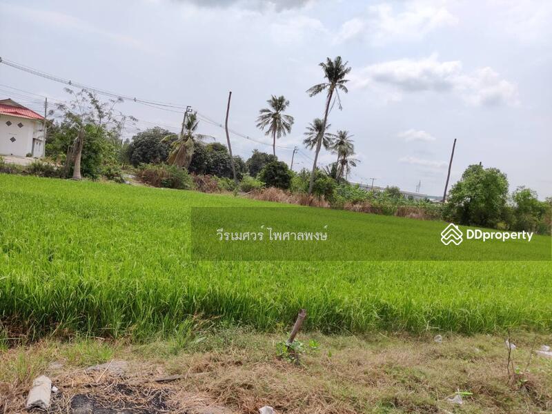 ขายที่ดิน บางบัวทอง ตำแหน่งใกล้ Central Westgate (ใกล้ดูโฮมบางบัวทอง เพียง 1 Km.) 16 ไร่