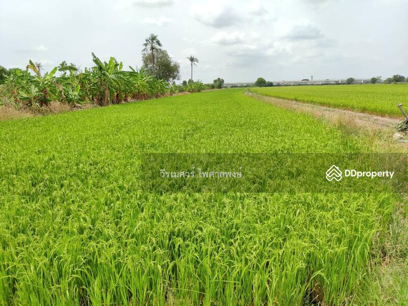 ขายที่ดิน บางบัวทอง ตำแหน่งใกล้ Central Westgate (ใกล้ดูโฮมบางบัวทอง เพียง 1 Km.) 16 ไร่