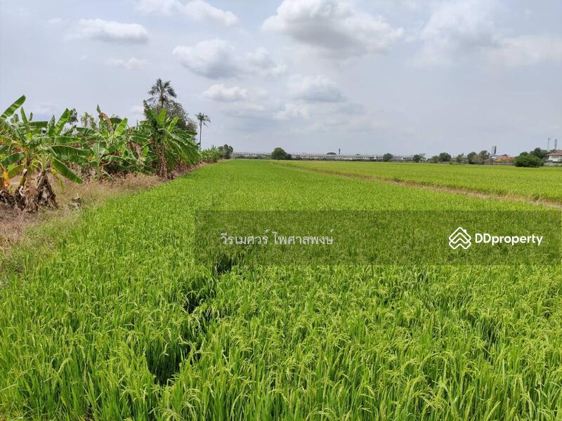 ขายที่ดิน บางบัวทอง ตำแหน่งใกล้ Central Westgate (ใกล้ดูโฮมบางบัวทอง เพียง 1 Km.) 16 ไร่