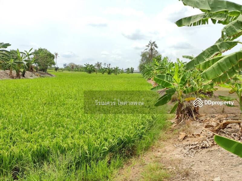 ขายที่ดิน บางบัวทอง ตำแหน่งใกล้ Central Westgate (ใกล้ดูโฮมบางบัวทอง เพียง 1 Km.) 16 ไร่