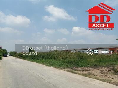 ขาย - ขายที่ดินเปล่า ลำลูกกาคลอง4 ถนนไสวประชาราษฎร์ ซอยสไวประชาราษฎร์19, ปทุมธานี