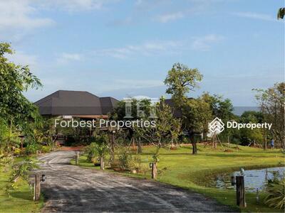 ขาย - 40604 - ขายบ้านพร้อมที่ดินปากช่อง ซ.เจริญทรัพย์ ใกล้รถไฟความเร็วสูงสถานีใหม่ เนื้อที่ 4 ไร่, นครราชสีมา