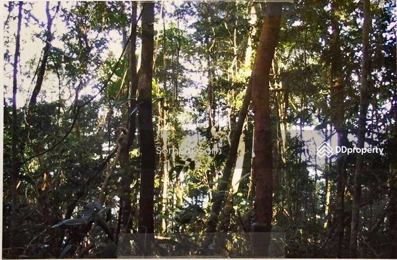 For Sale - Urgent sale!! Land on Koh Chang, Trat Province, 118 rai., Trat