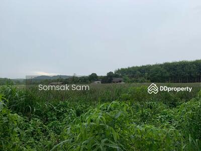 ขาย - ขายที่ดินเปล่า อ.เขาสมิง จ. ตราด 23-3-28 ไร่ (เจ้าของขายเอง), ตราด