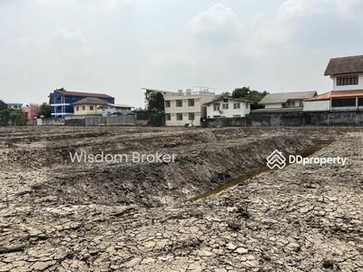 ขาย - ขายที่ดินแปลงสวย ลาดกระบัง 11-3-4 ไร่, กรุงเทพ