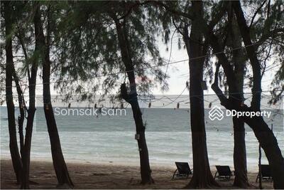 ขาย - ขายที่ดินโครงการ VIP ระยอง ติดหาดแม่รำพึง 114 ตรว., ระยอง
