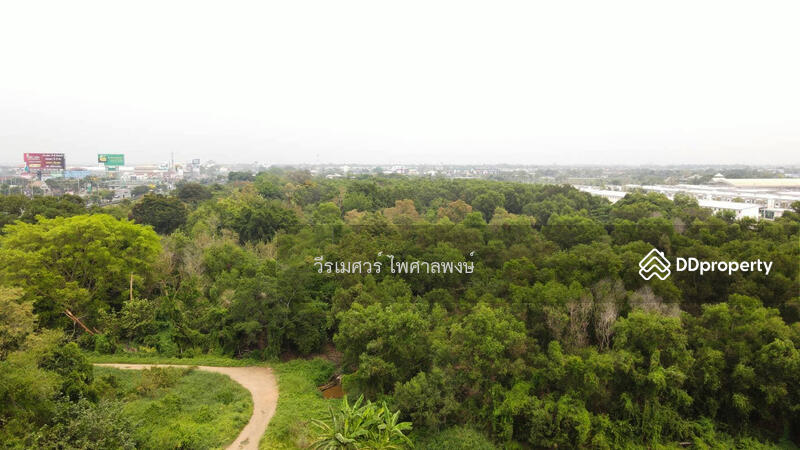 ขายถูกที่สุด! ที่ดินติดถนนรังสิต-นครนายก #ใกล้ Future Park (เหมาะสร้างหมู่บ้าน) 287-2-80.5 ไร่ 