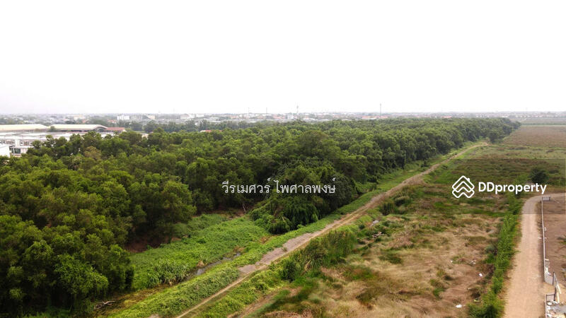 ขายถูกที่สุด! ที่ดินติดถนนรังสิต-นครนายก #ใกล้ Future Park (เหมาะสร้างหมู่บ้าน) 287-2-80.5 ไร่ 