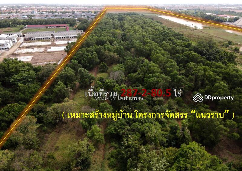 ขายถูกที่สุด! ที่ดินติดถนนรังสิต-นครนายก #ใกล้ Future Park (เหมาะสร้างหมู่บ้าน) 287-2-80.5 ไร่ 