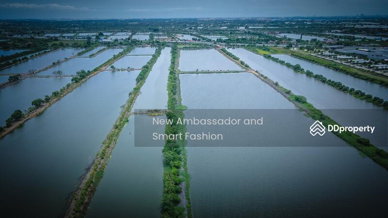 For Sale - Land for sale next to Siam Premium Outlet Bangkok Lat Krabang, Bangkok