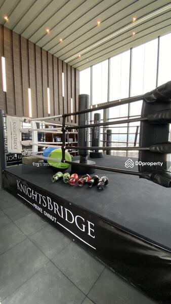 Knightsbridge Prime Onnut, Bangkok, Soi On Nut 1/1 Sukhumvit Road77, Phra Kanong Nua, Watthana, Bangkok, 1 Bedroom, 23 sqm, Condo For Rent, by Jirathar Woraprangkul, 8700672 - DDproperty.com