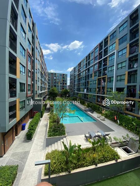 iCondo Green Space Sukhumvit 77 Phase 2 : ไอคอนโด กรีนสเปซ สุขุมวิท 77 (เฟส 2), กรุงเทพ, ถนน ลาดกระบัง, ลาดกระบัง, กรุงเทพ, 33 ตร.ม., คอนโด ให้เช่า, โดย Amwika Karoonsombat, 8701906 - DDproperty.com