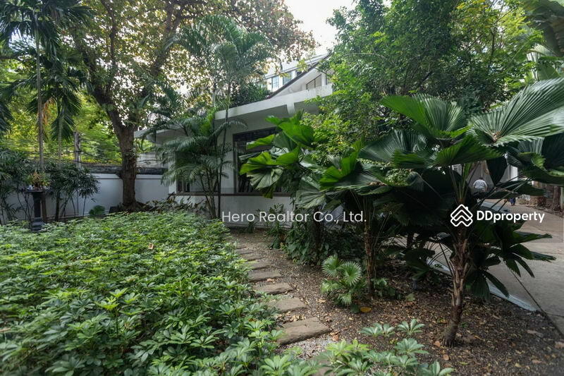 ให้เช่า - For Rent Bangkok Single House Phloen Chit BTS Phloen Chit Pathum Wan BRE15652, กรุงเทพ