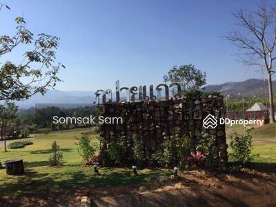 ขาย - ขายที่ดิน อ.ปาย จ.แม่ฮ่องสอน 12 ไร่, แม่ฮ่องสอน