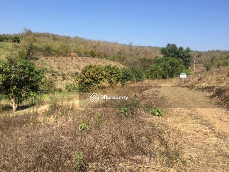 For Sale - Land for sale, Pai District, Mae Hong Son Province, 12 rai., Mae Hong Son