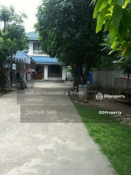 ให้เช่าบ้านเดี่ยว 2ชั้น 3 ห้องนอน 3ห้องน้ำ เขตบางนา ใกล้ BTS (แบริ่ง), กรุงเทพ, บางนา, กรุงเทพ, 250 ตร.ม., บ้านเดี่ยว ให้เช่า, โดย Sammy Pro, 8705229 - DDproperty.com
